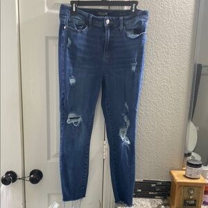 Judy Blue Skinny Distressed Jeans, Sz 13/31